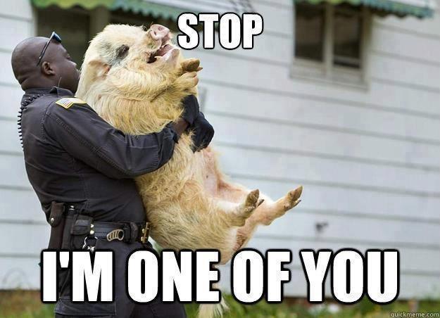 A classic case of mistaken identity in the force. This is just awkward for everyone involved. 🐷👮‍♂️