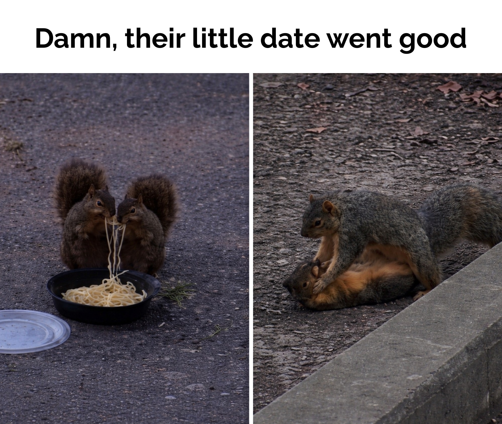 From a romantic spaghetti dinner to getting down to business. I'd say the date was a success! 😉