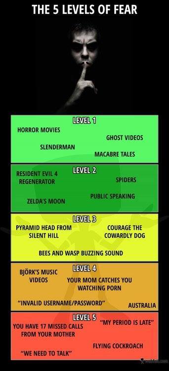 This chart is painfully accurate. Level 5 is where true panic begins. 💀