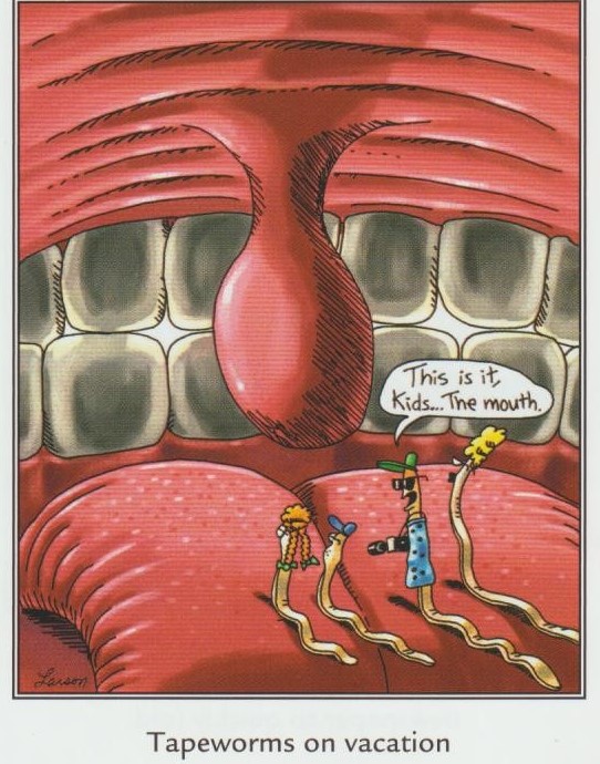 Wow kids, look! The great hanging uvula of the upper palate! Just like in the brochures. 📸