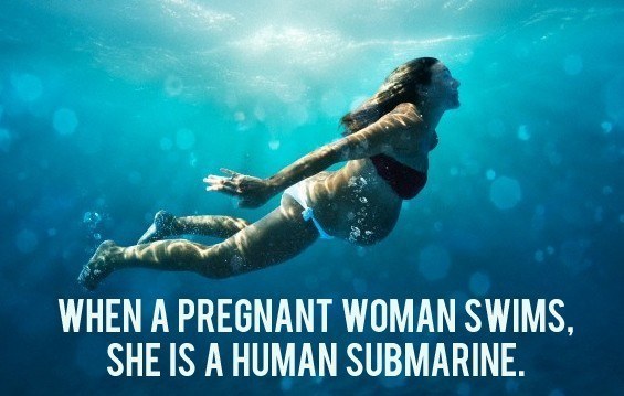 Mind blown! She's a biological submersible carrying precious cargo on a 9-month deployment. 🤰🌊