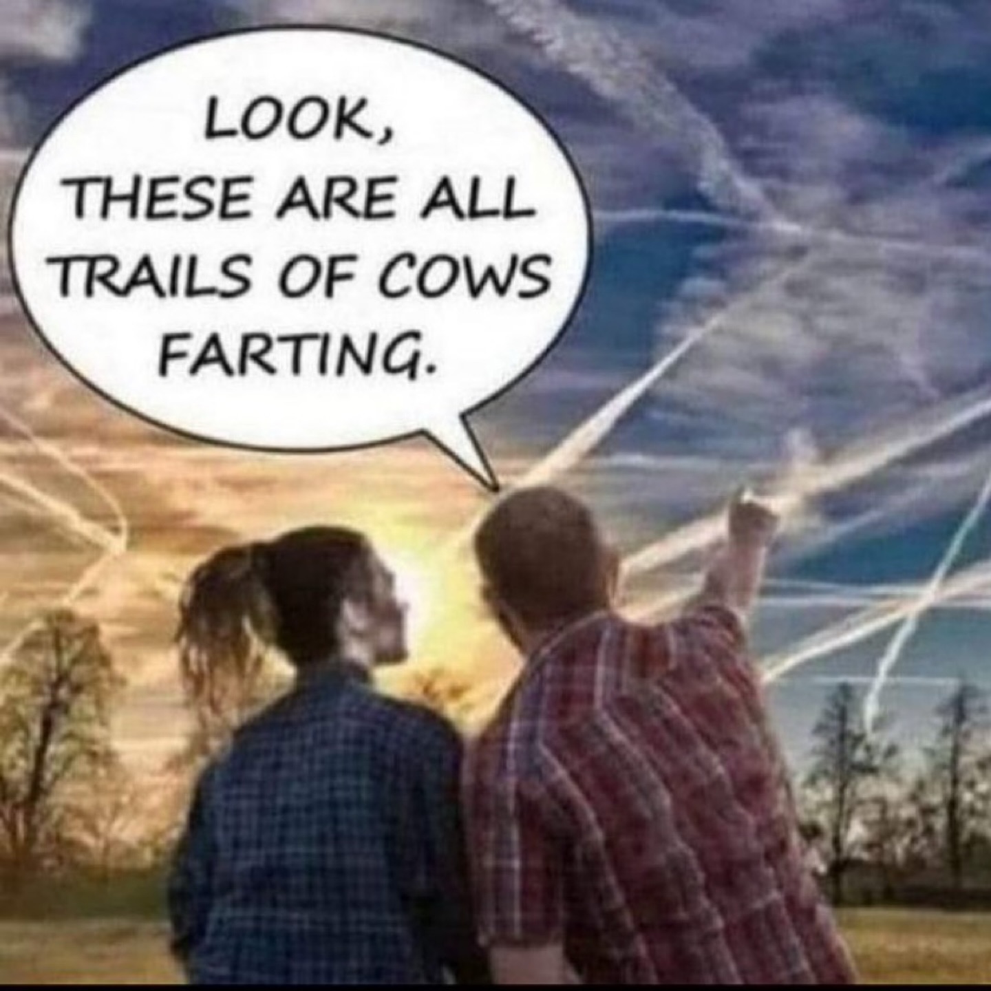 Forget chemtrails, the real conspiracy is the Bovine Gaseous Offensive. 🐮💨 The truth is out there!