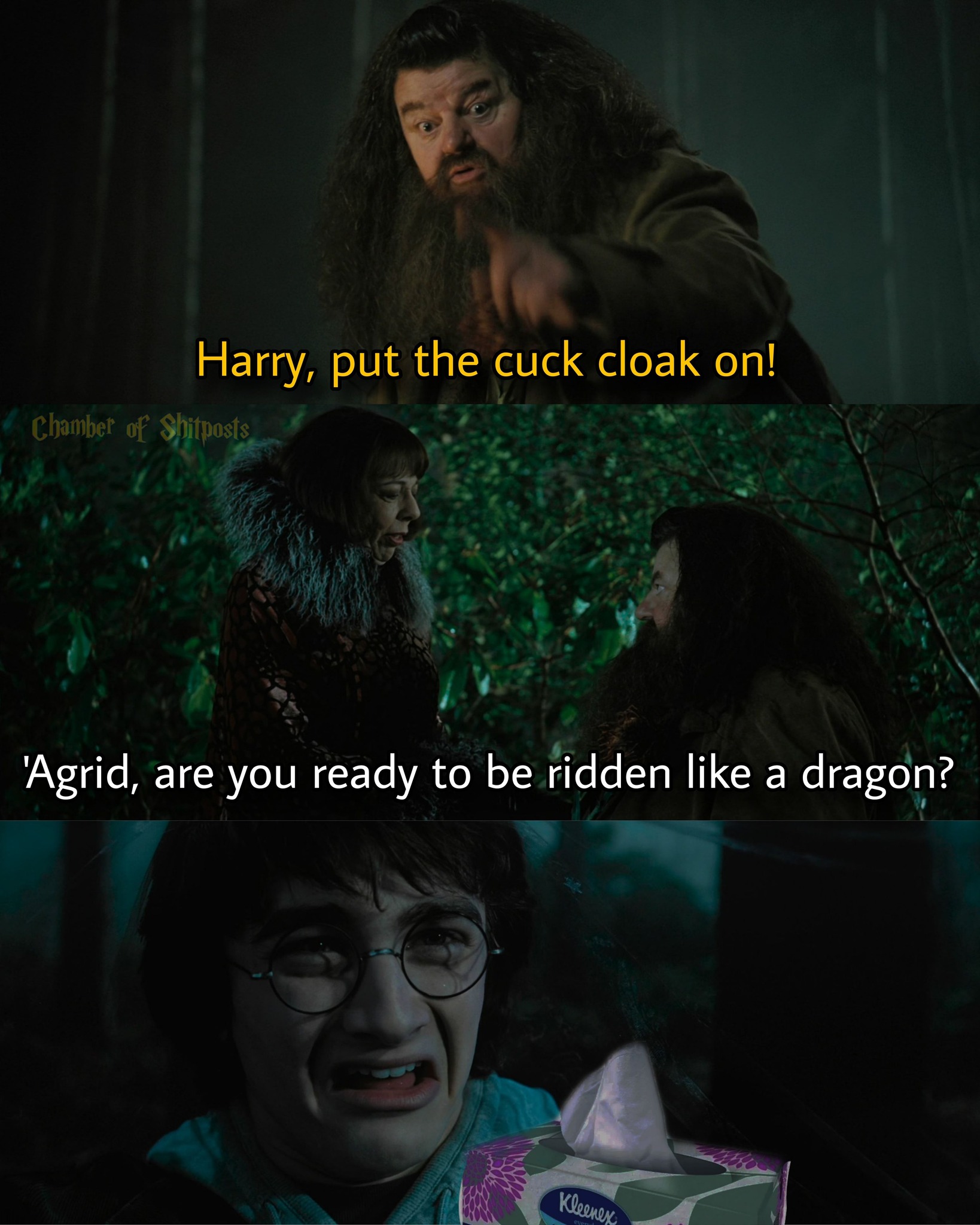 Some things you can't unsee, even with an invisibility cloak. Harry is scarred for life. 😭