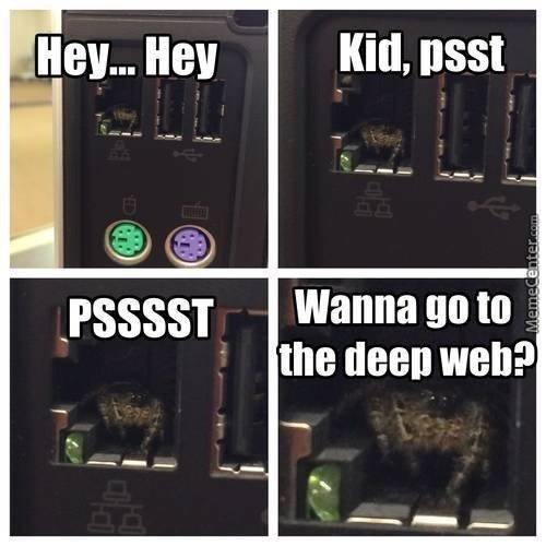 This is how you get bugs in your system and access the *real* deep web. 🕷️