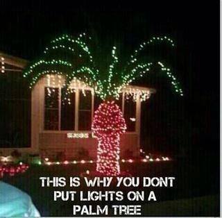 When your Christmas decorations get a little too excited. Happy holidays, I guess? 🍆🎄