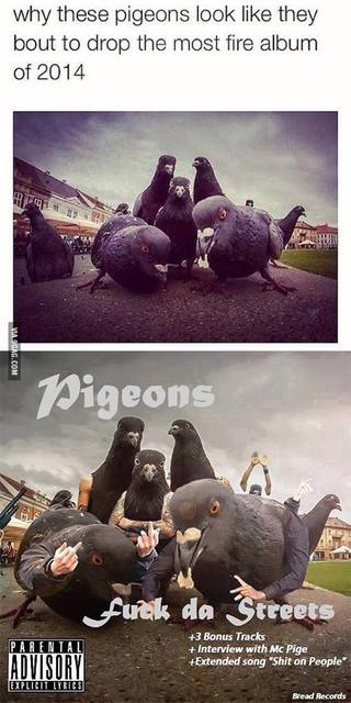 The most anticipated album of the year just dropped. Featuring the hit single 'Shit on People' and the diss track 'F*** a Statue'. 🐦🔥