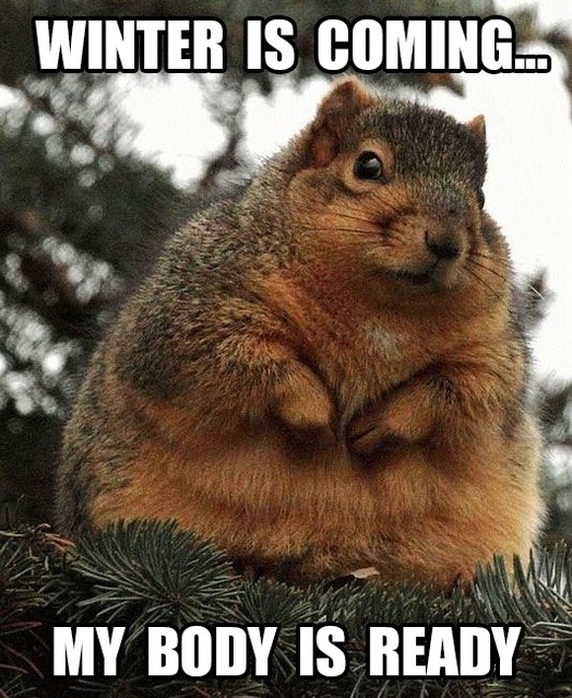My body is ready for hibernation season, which for me just means more snacks on the couch. 🐿️❄️