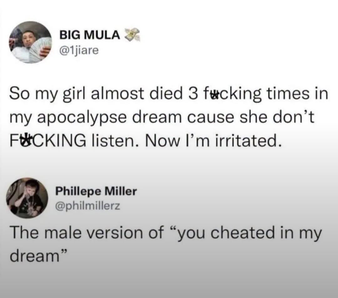 Apparently, dream apocalypses are just as frustrating as real relationships. Now you're mad at them for something that didn't even happen. 😂