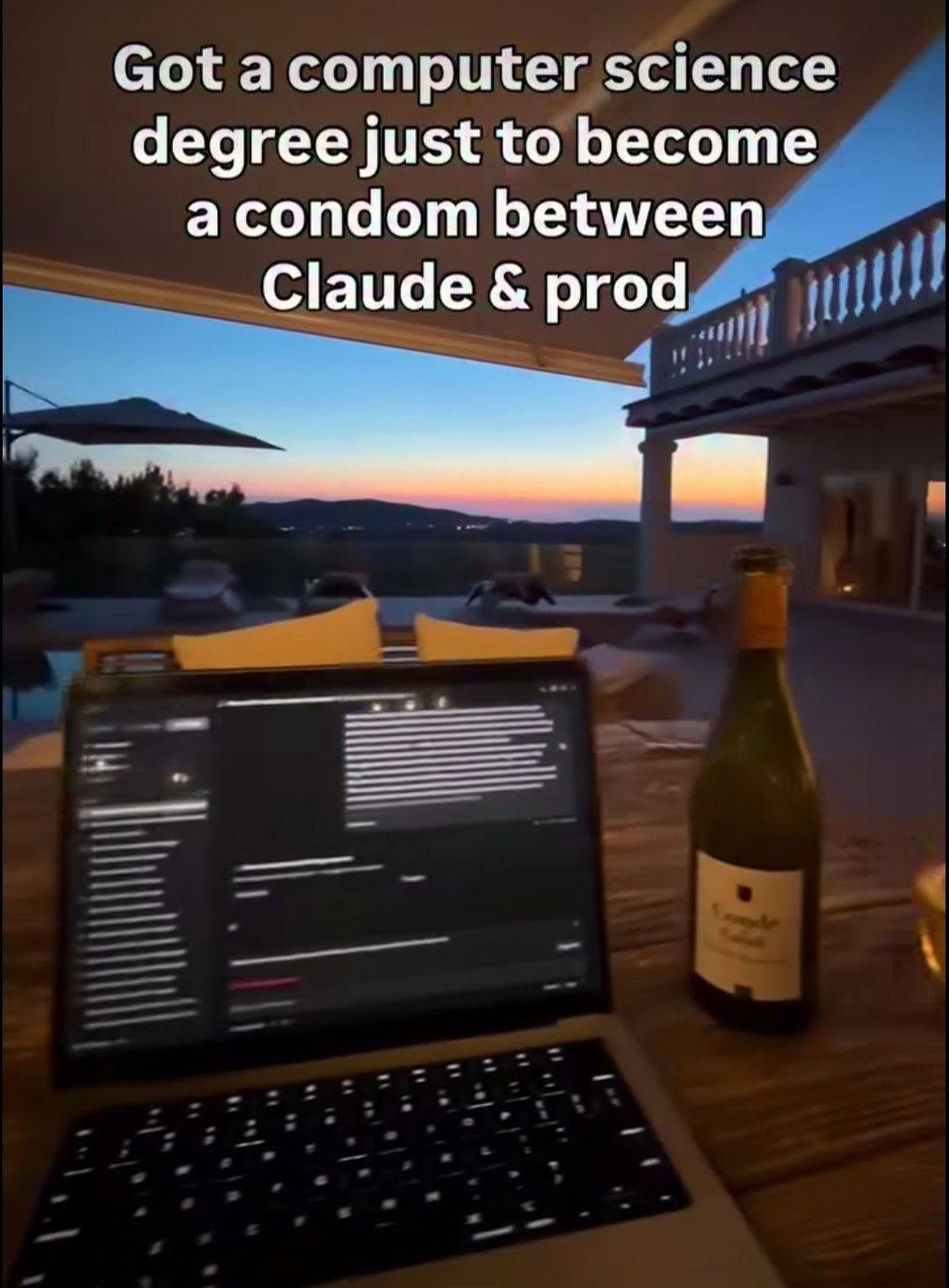 All those years of studying just to become the human shield between the AI and the production environment. At least the view is nice. 🌅