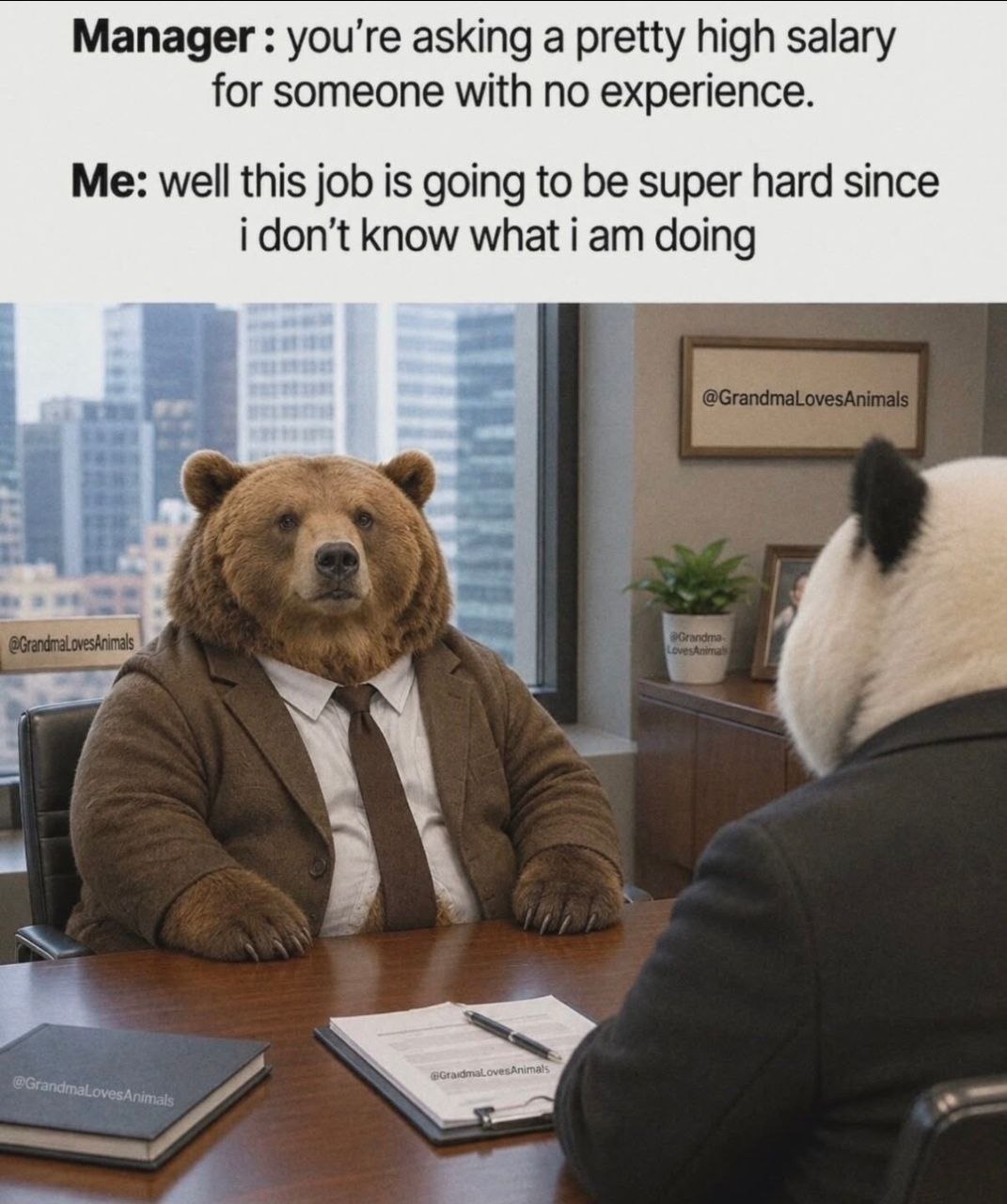 When you have zero experience but maximum confidence during a salary negotiation. 🐻💼