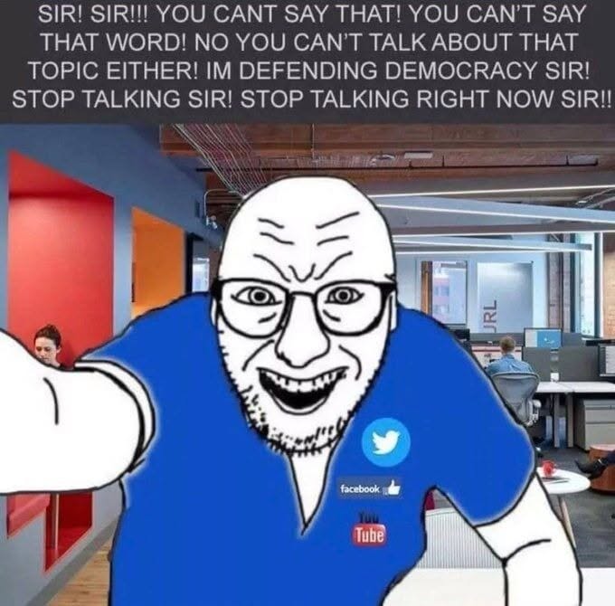 POV: You just expressed an opinion that wasn't pre-approved by the algorithm. The platform is now 'defending democracy' from you.