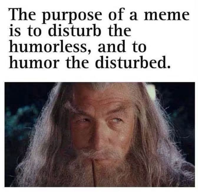 Gandalf dropping some ancient wisdom about the sacred texts we call memes. Consider me one of the disturbed. 😂